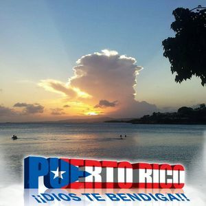 Meet your Posher, Lynette